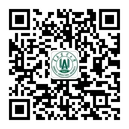 一级特黄AAA大片在线观看