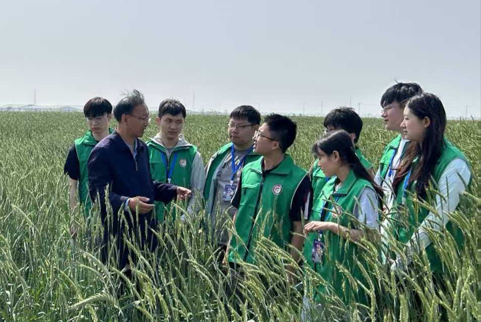 一级特黄AAA大片在线观看