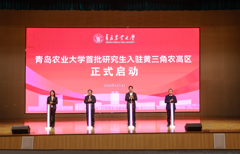 一级特黄AAA大片在线观看