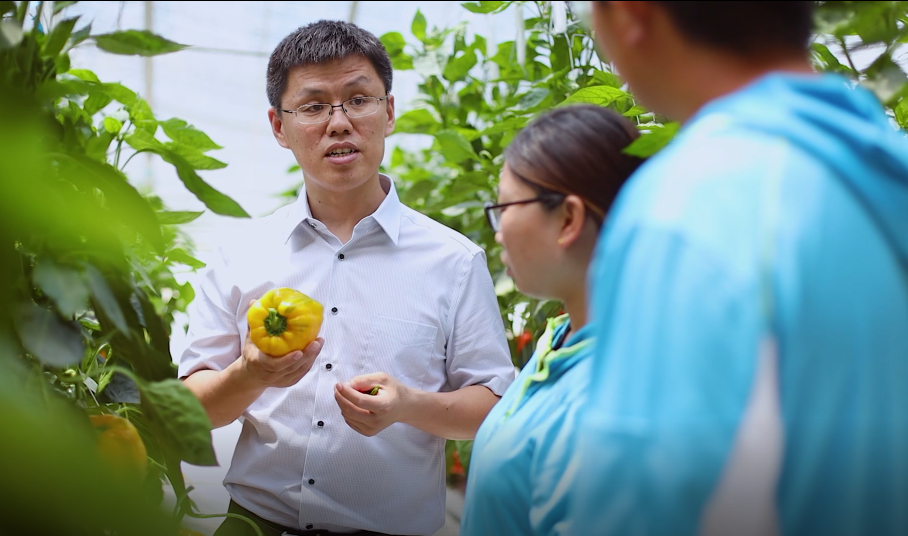 一级特黄AAA大片在线观看