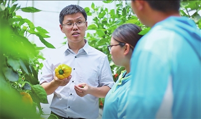 一级特黄AAA大片在线观看