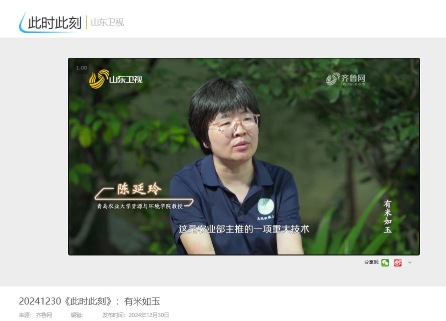 一级特黄AAA大片在线观看
