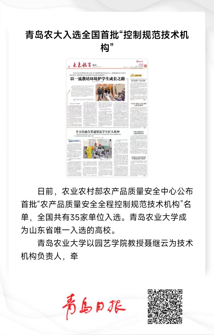 一级特黄AAA大片在线观看