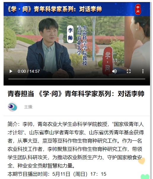 一级特黄AAA大片在线观看