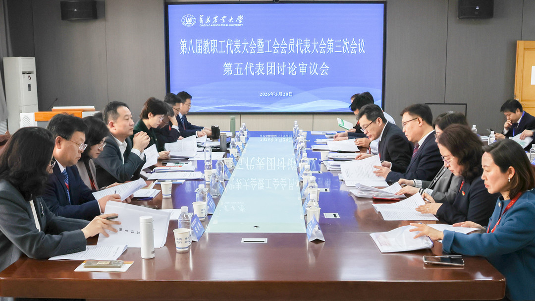 一级特黄AAA大片在线观看