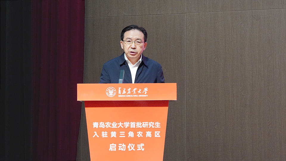 一级特黄AAA大片在线观看