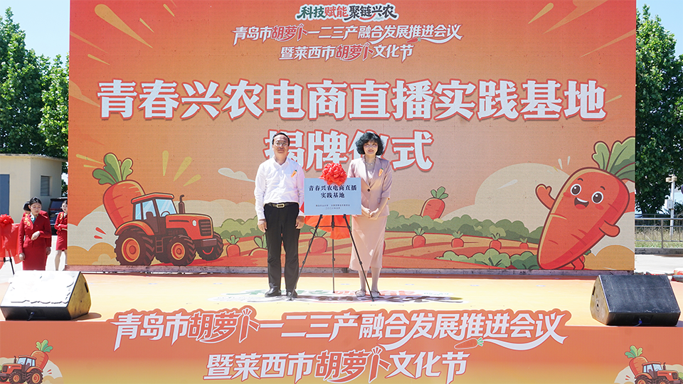 一级特黄AAA大片在线观看