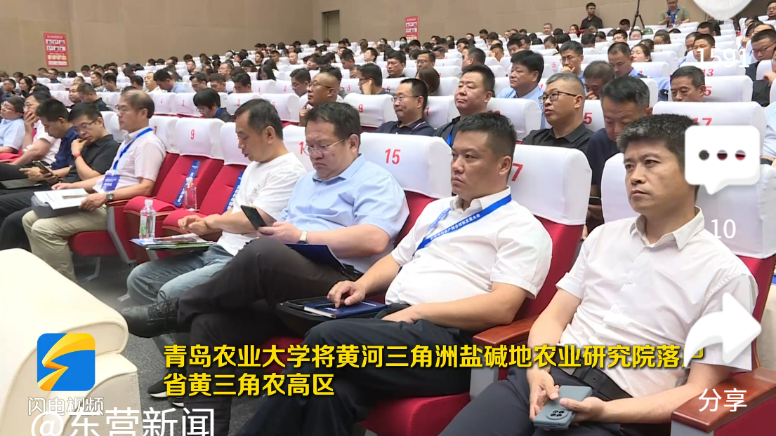 一级特黄AAA大片在线观看