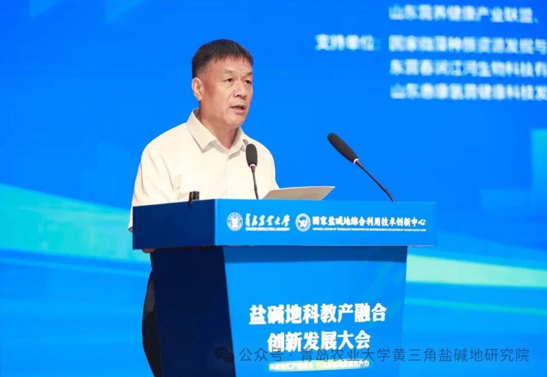 一级特黄AAA大片在线观看