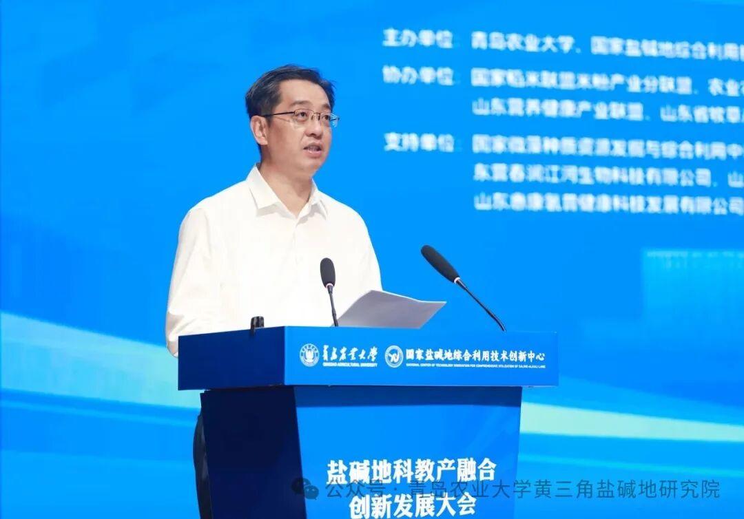 一级特黄AAA大片在线观看