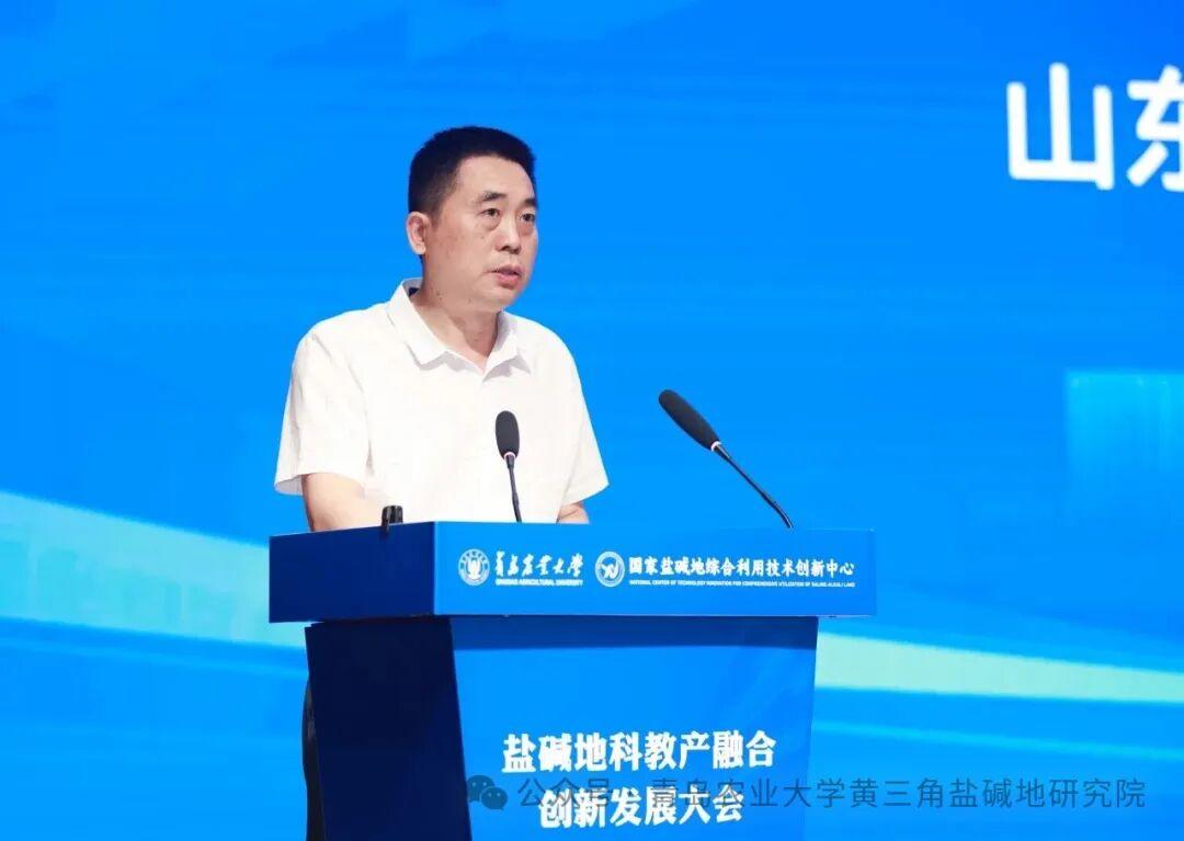 一级特黄AAA大片在线观看