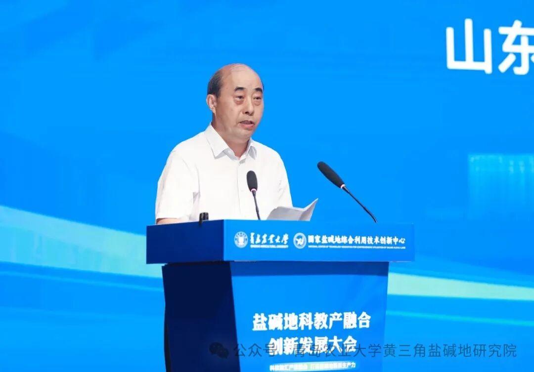 一级特黄AAA大片在线观看
