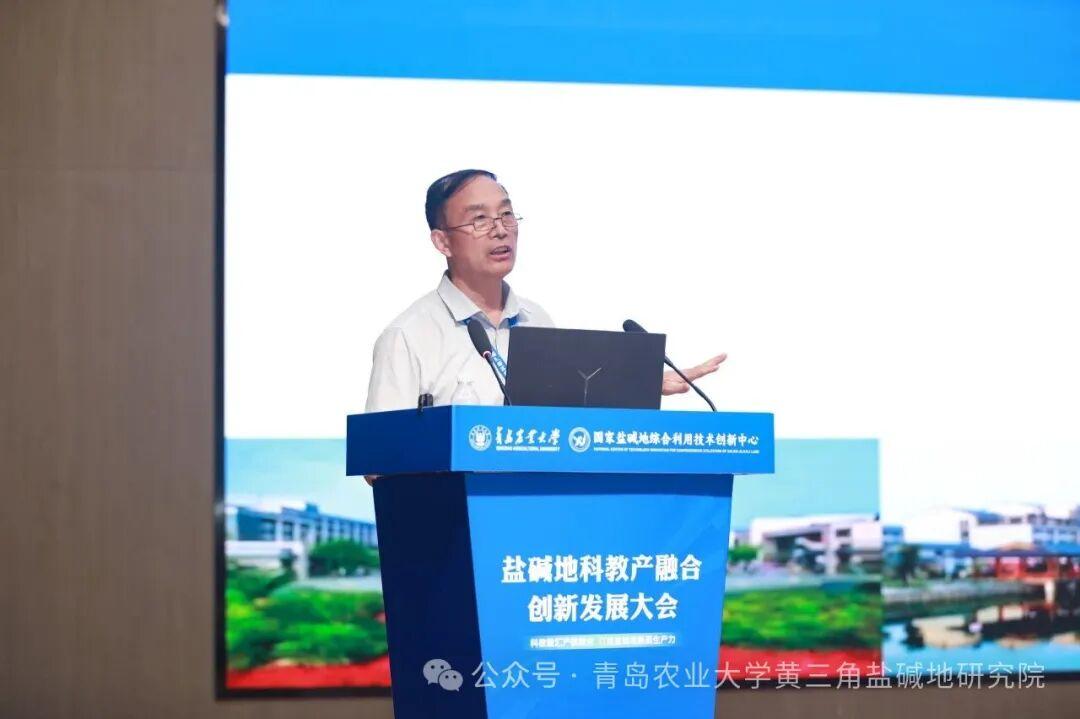 一级特黄AAA大片在线观看