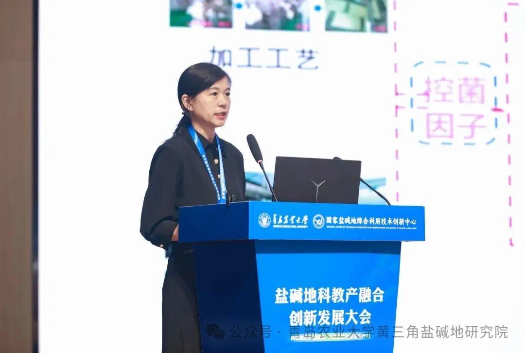 一级特黄AAA大片在线观看