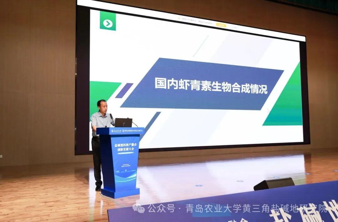 一级特黄AAA大片在线观看