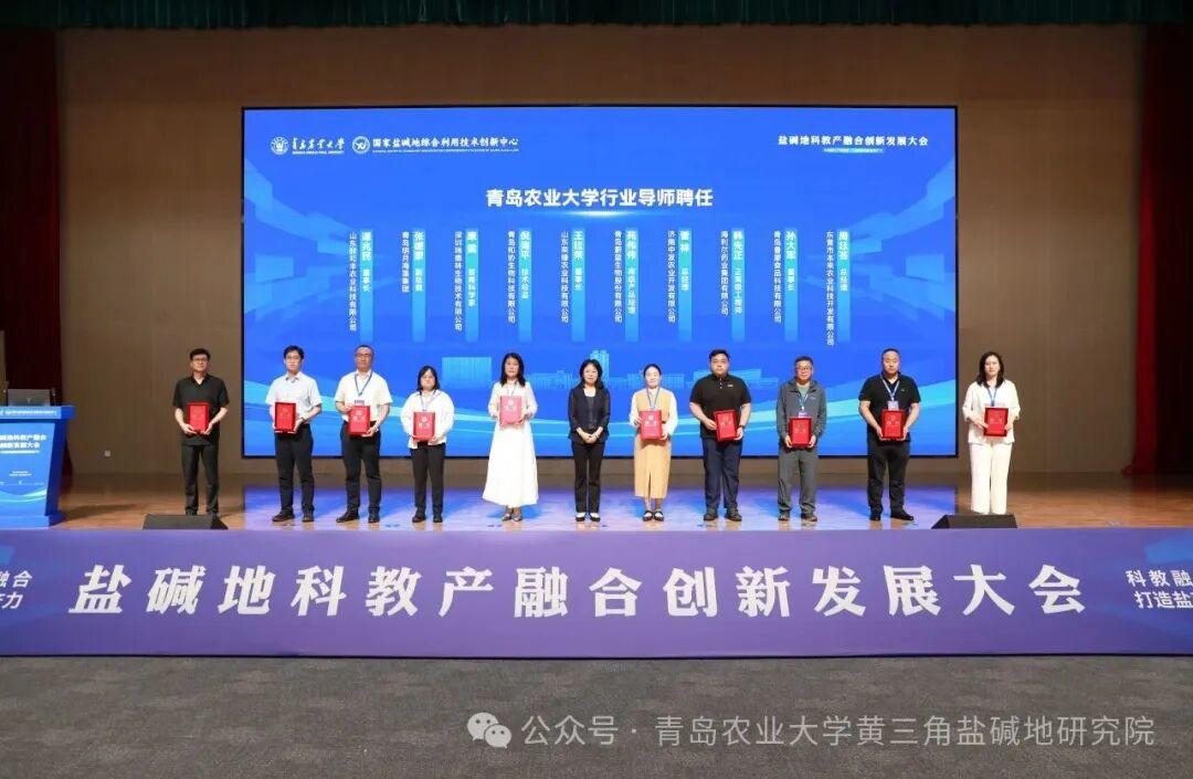 一级特黄AAA大片在线观看