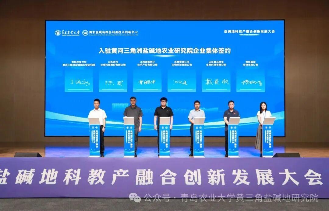 一级特黄AAA大片在线观看