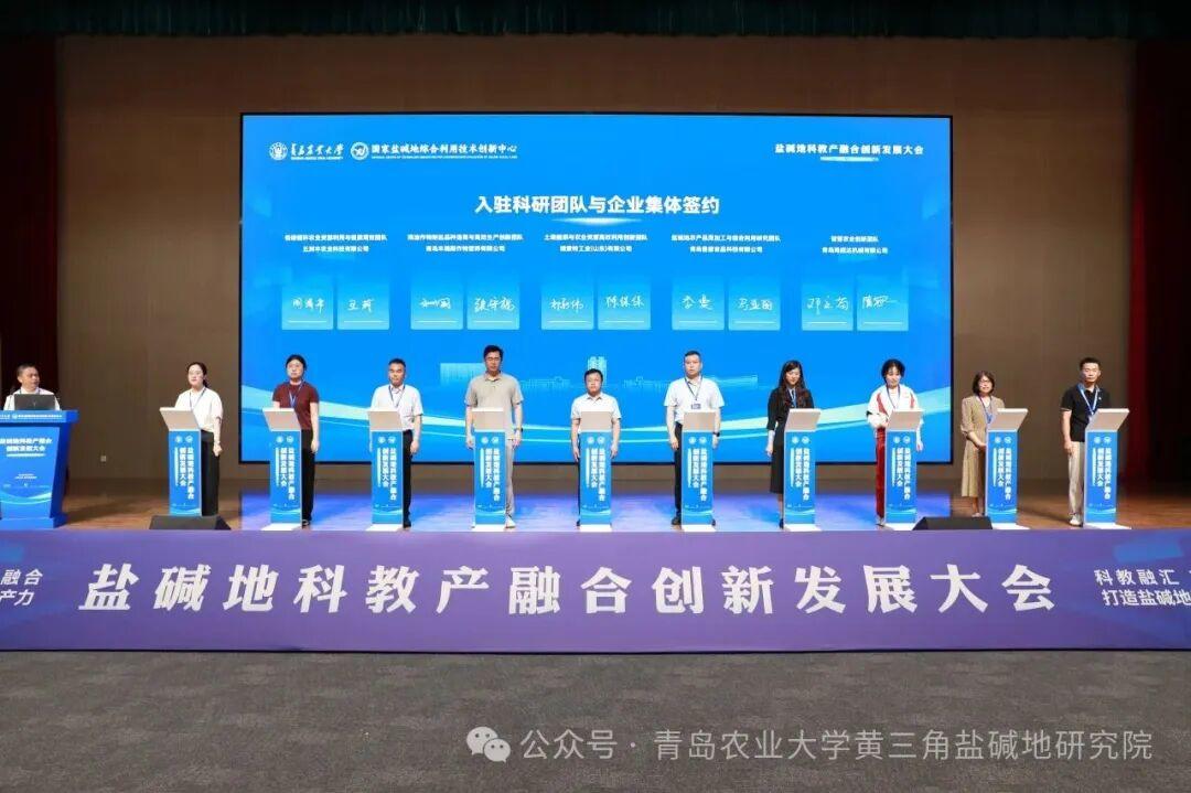 一级特黄AAA大片在线观看