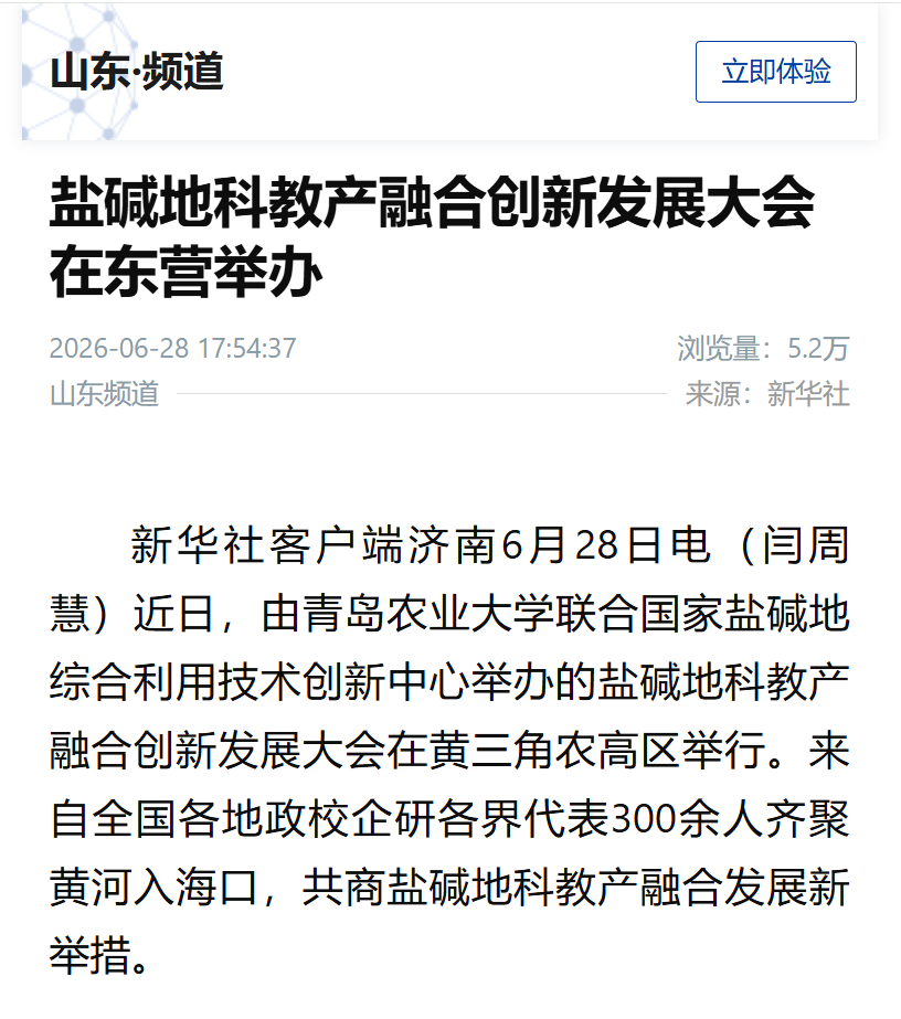 一级特黄AAA大片在线观看
