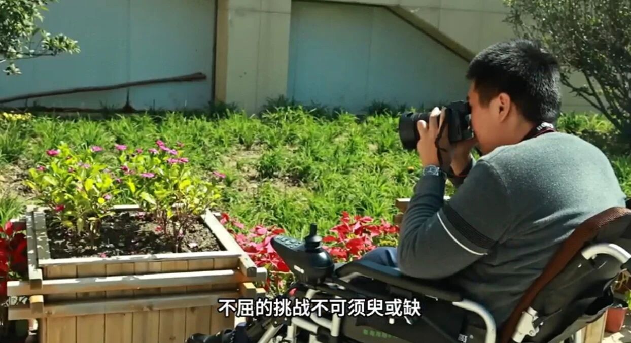 一级特黄AAA大片在线观看