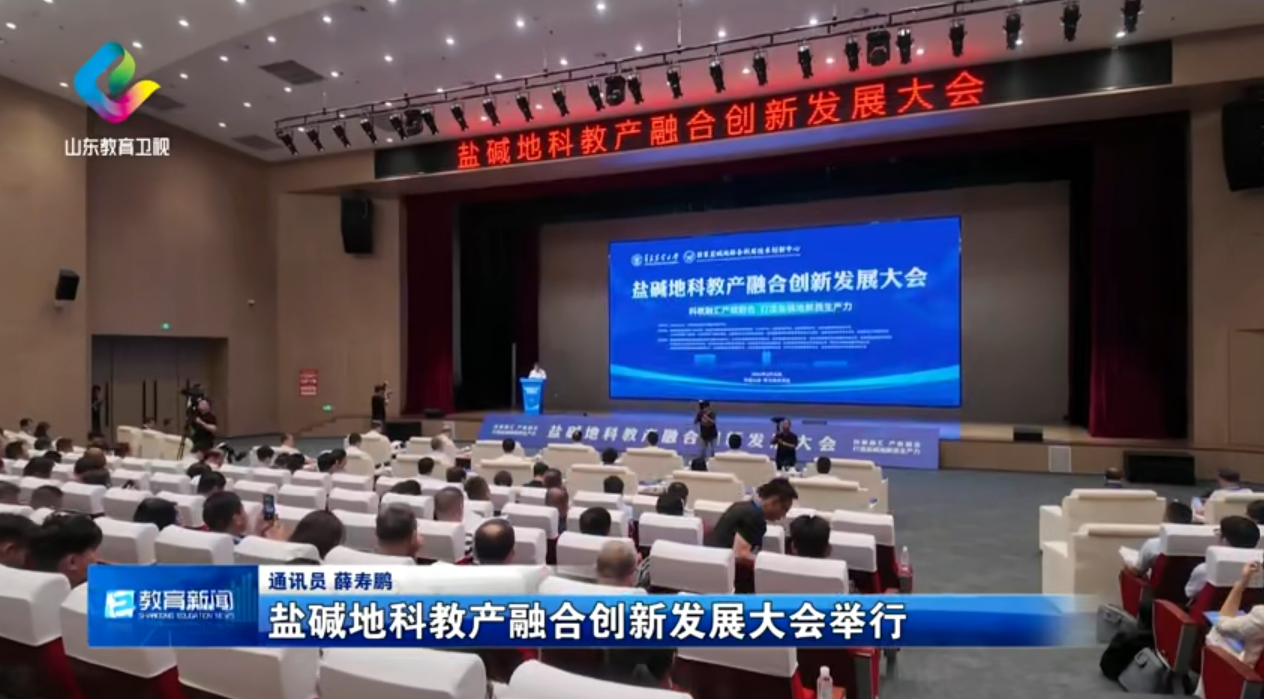 一级特黄AAA大片在线观看