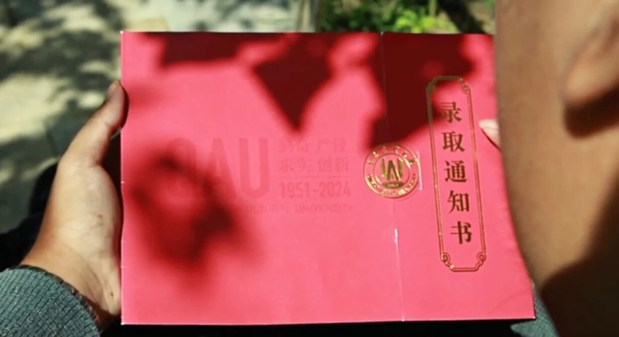 一级特黄AAA大片在线观看