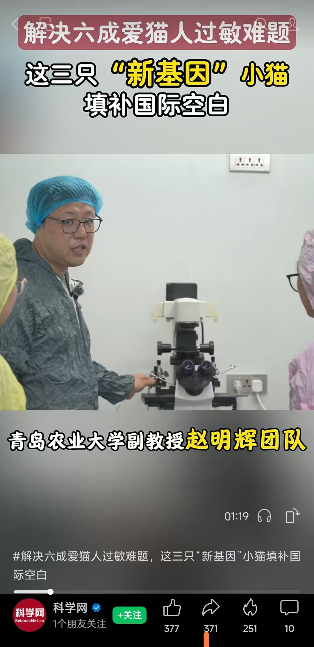一级特黄AAA大片在线观看