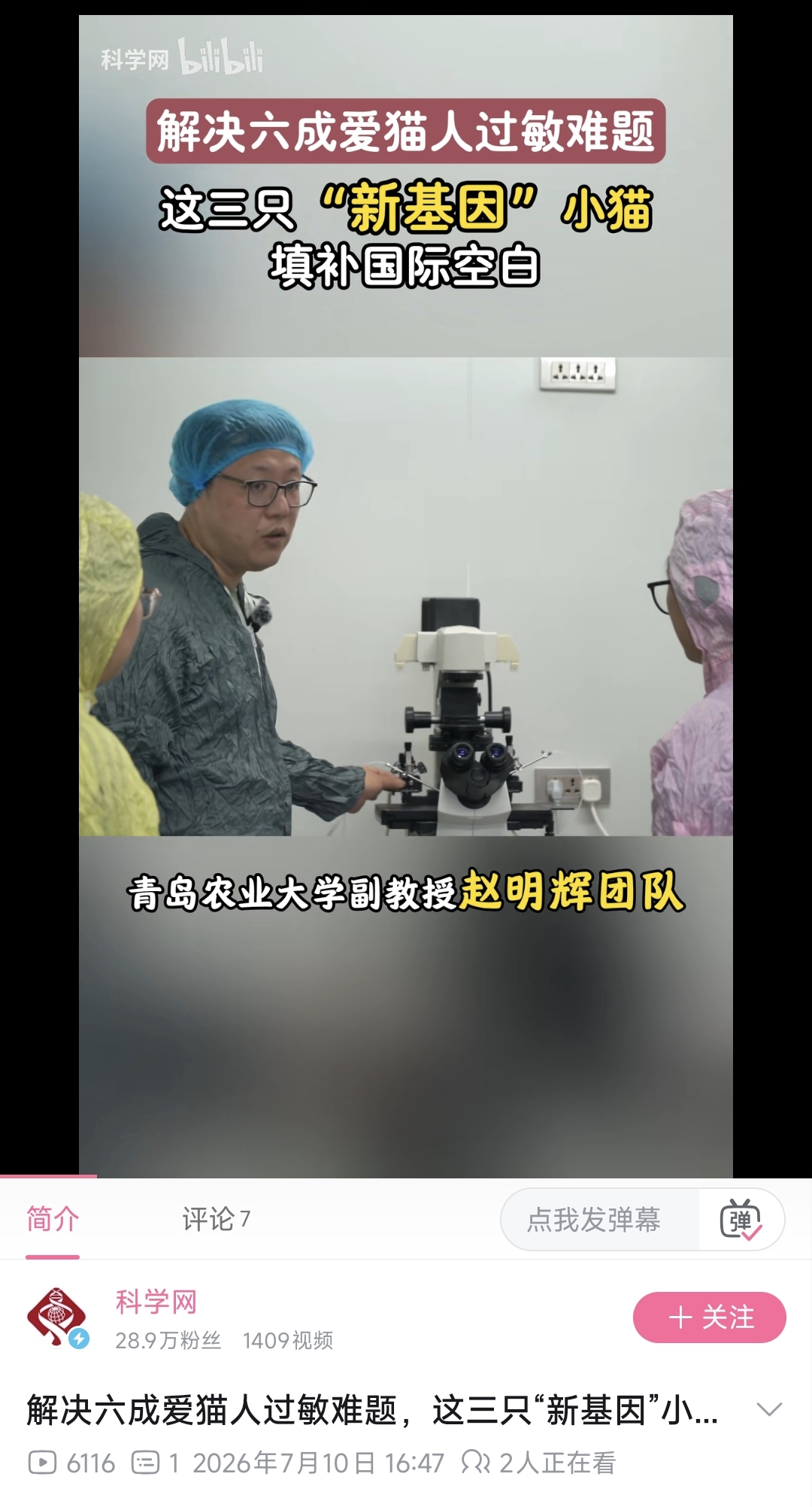 一级特黄AAA大片在线观看