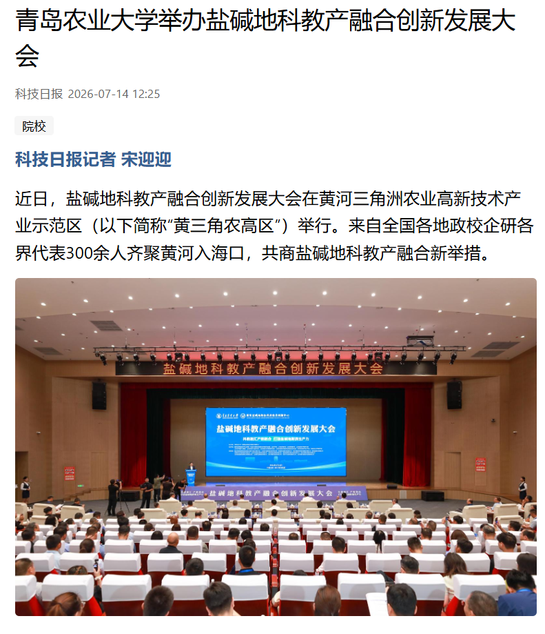 一级特黄AAA大片在线观看