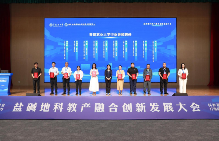 一级特黄AAA大片在线观看