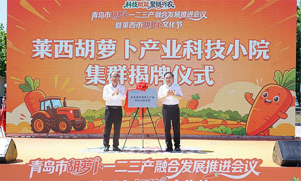 一级特黄AAA大片在线观看
