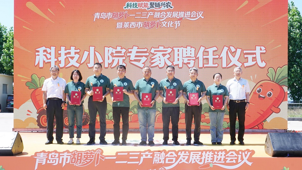 一级特黄AAA大片在线观看