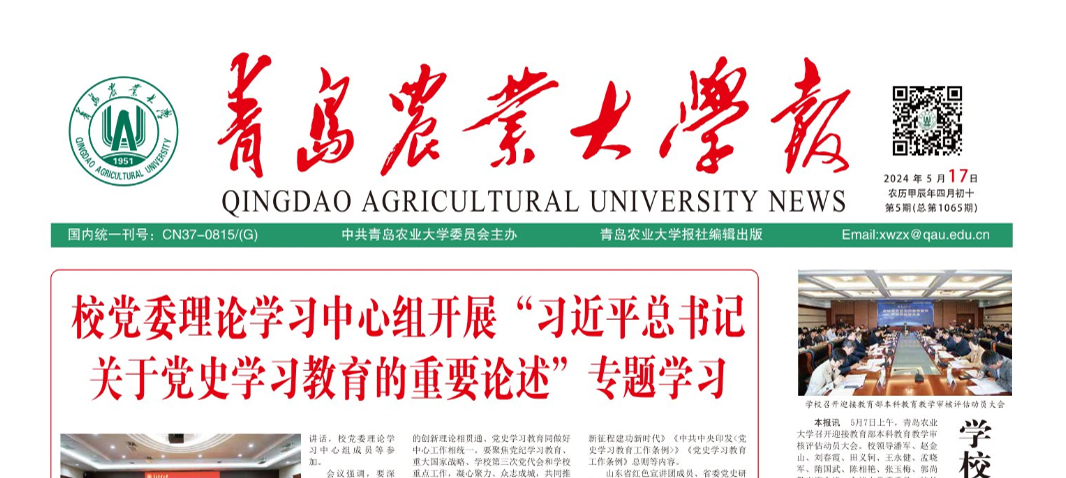 一级特黄AAA大片在线观看,人妻互换HDF中文,国产东北三老头伦一肥婆,国产AV国片偷人妻麻豆潘甜软件,人人妻人爽A片二区三区报