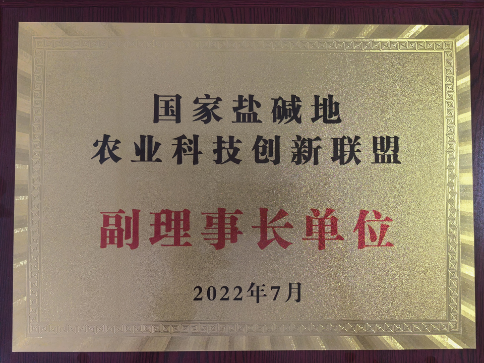 一级特黄AAA大片在线观看