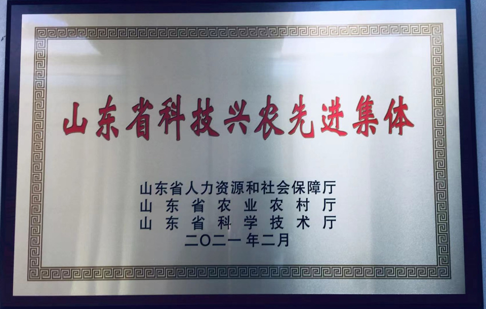 一级特黄AAA大片在线观看