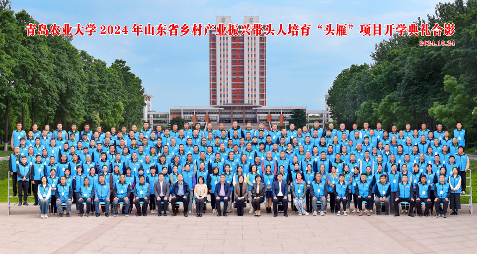 一级特黄AAA大片在线观看