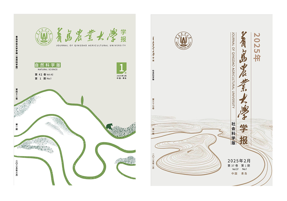 一级特黄AAA大片在线观看