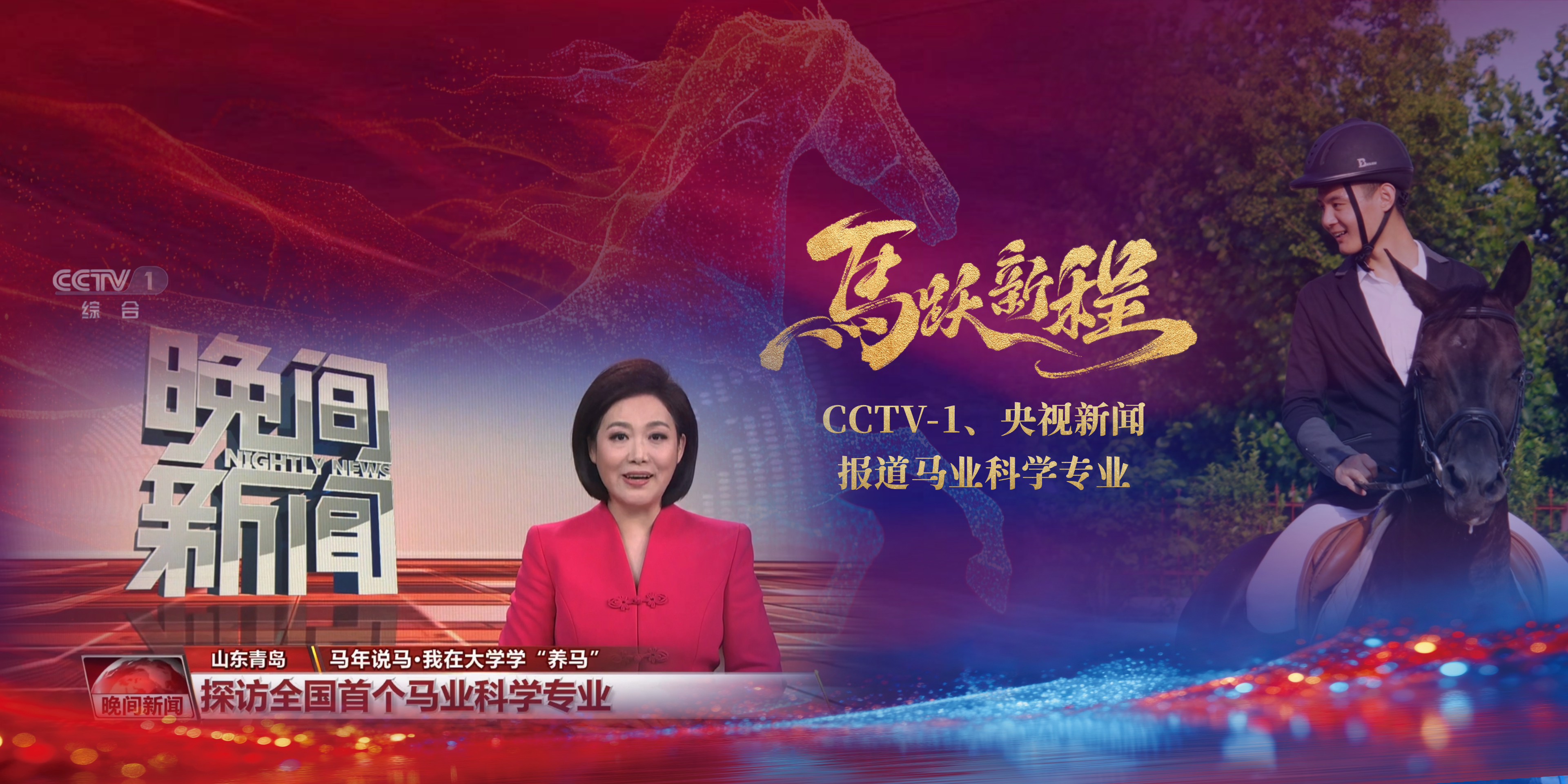 一级特黄AAA大片在线观看