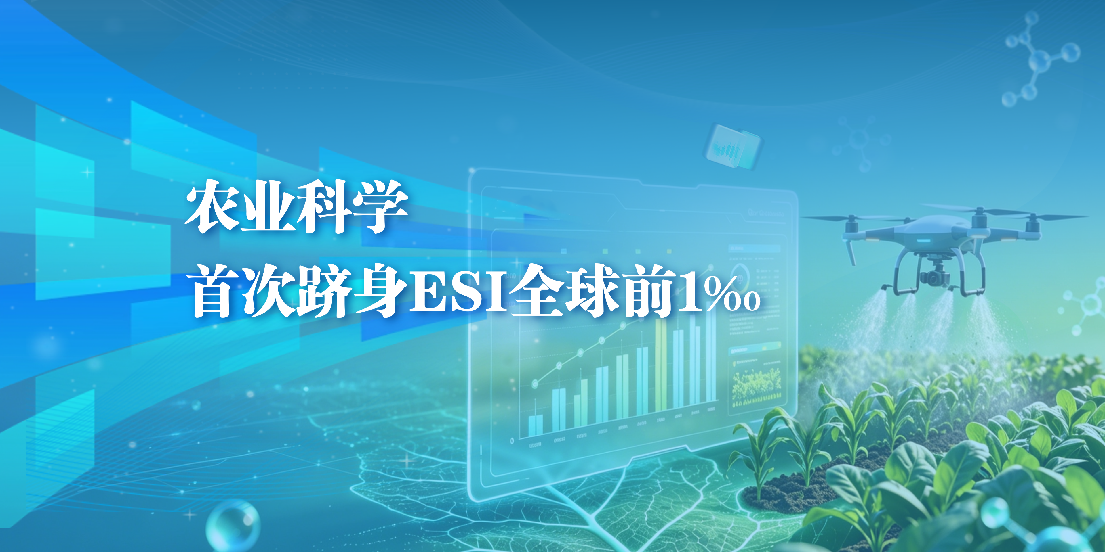 一级特黄AAA大片在线观看