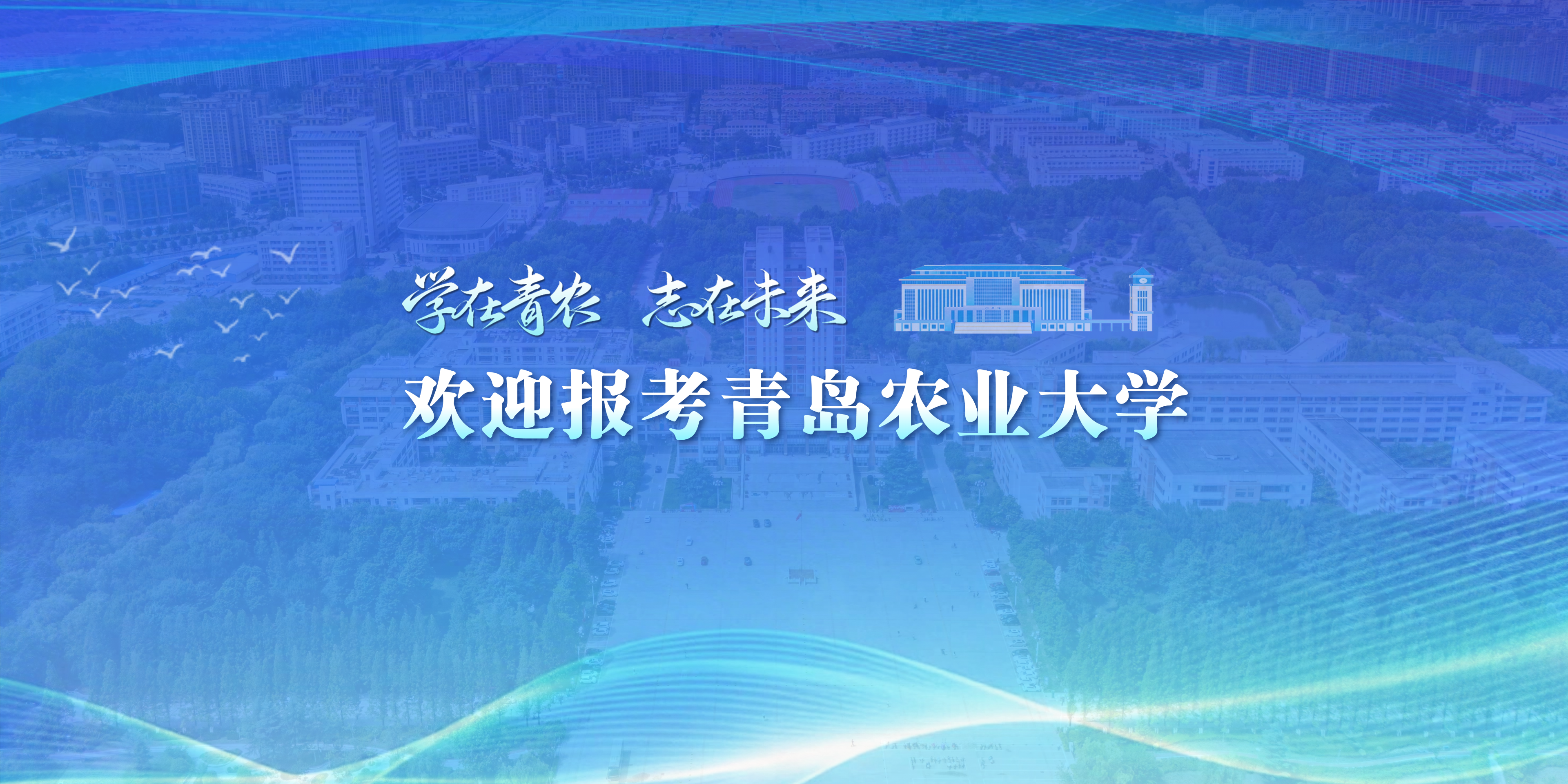 一级特黄AAA大片在线观看