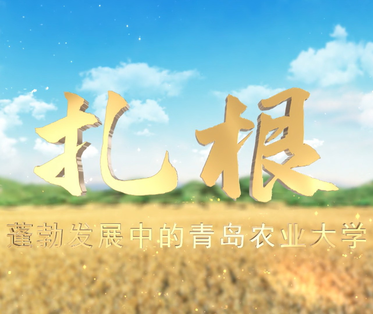 一级特黄AAA大片在线观看